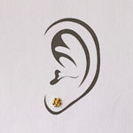 Load image into Gallery viewer, 18K Gold Stud Roses
