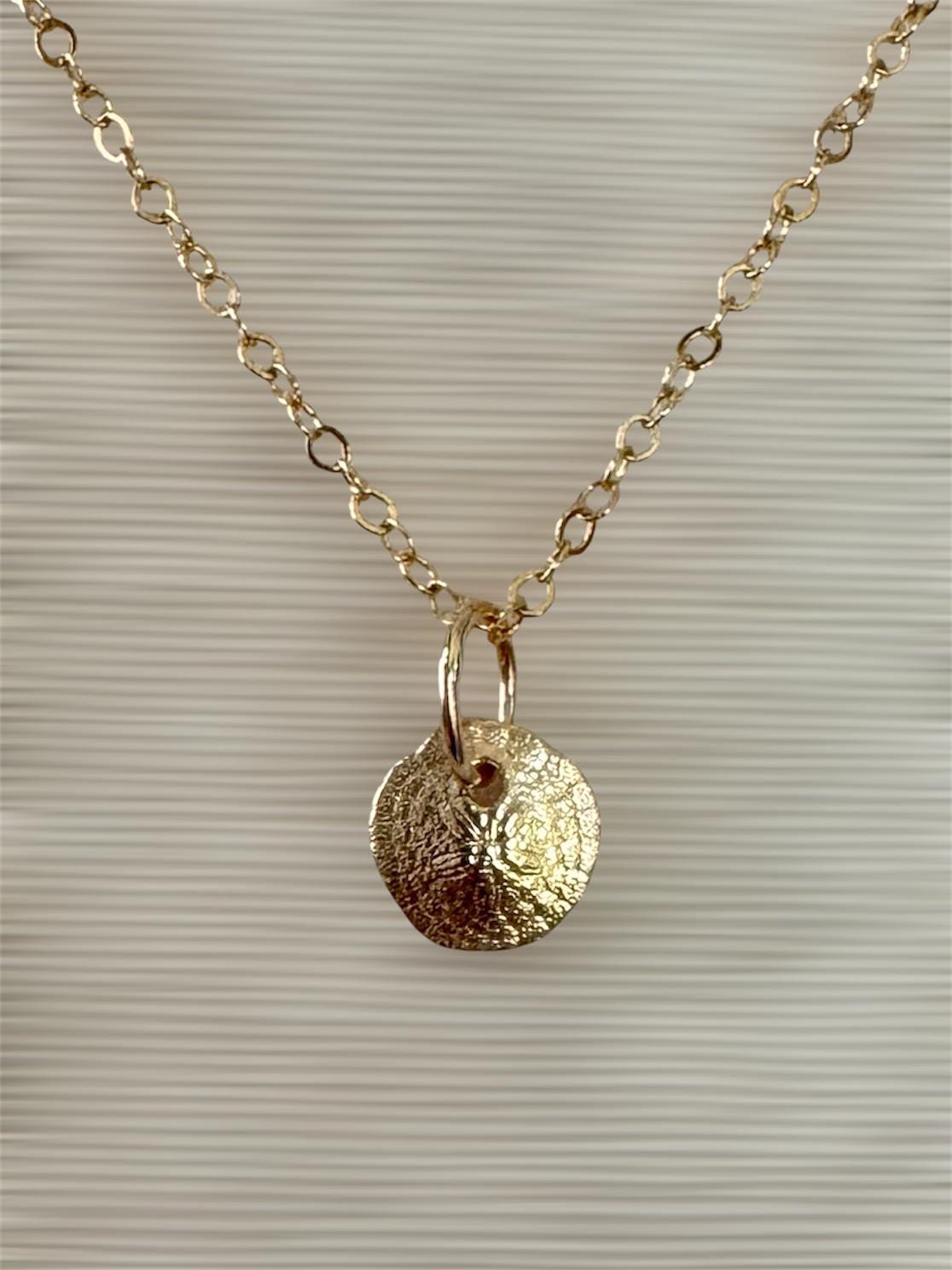 14K Gold Sand dollar charm, solid gold, shell charm