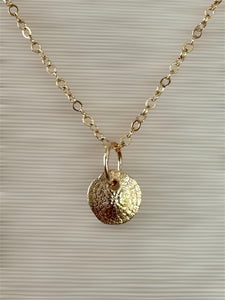 14K Gold Sand dollar charm, solid gold, shell charm