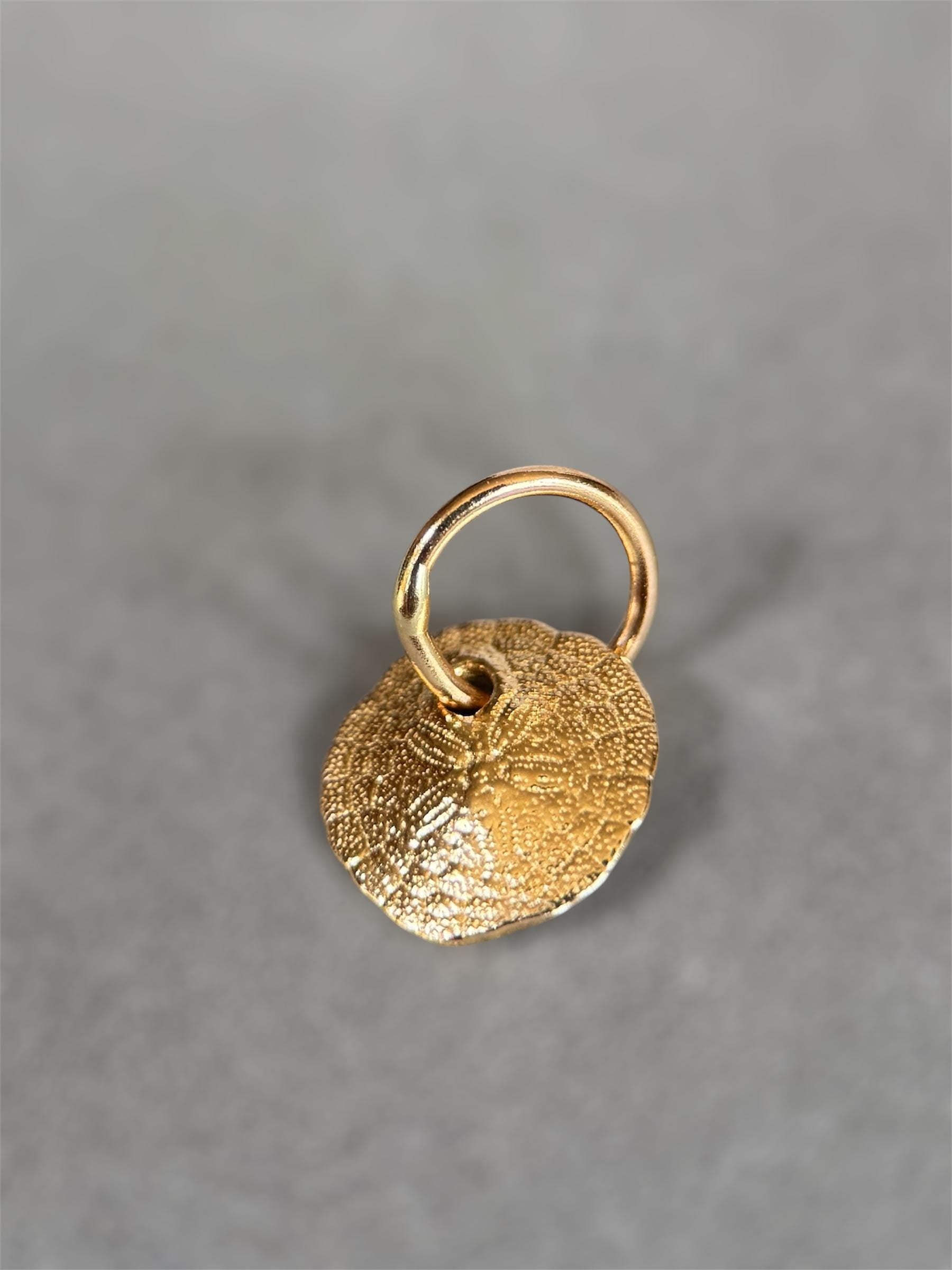 14K Gold Sand dollar charm, solid gold, shell charm