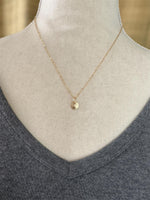 Load image into Gallery viewer, 14K Gold Sand dollar charm, solid gold, shell charm
