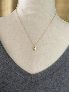 14K Gold Sand dollar charm, solid gold, shell charm