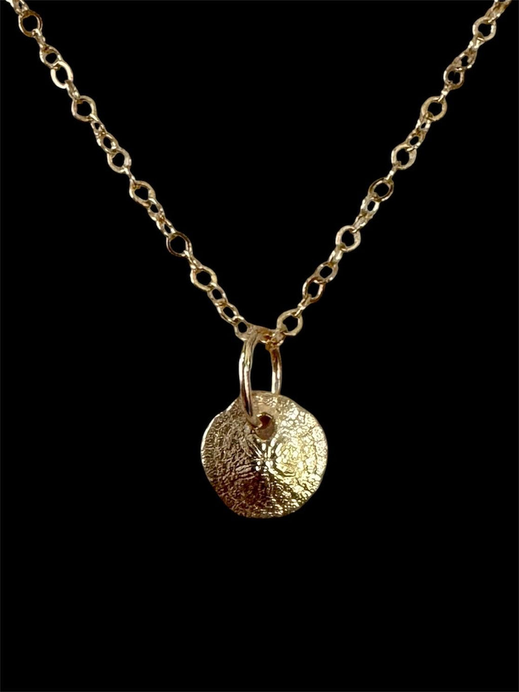14K Gold Sand dollar charm, solid gold, shell charm