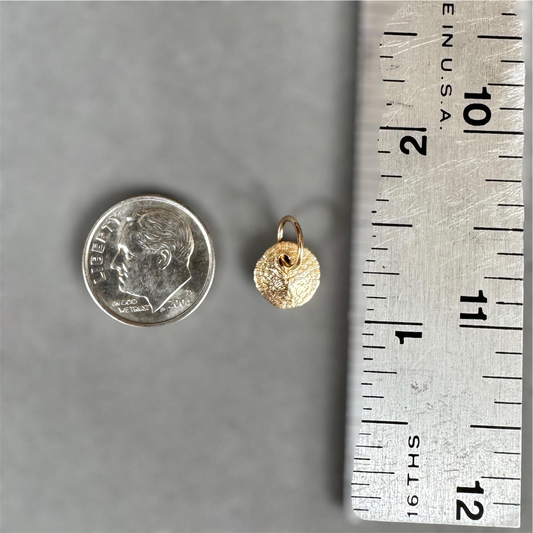 14K Gold Sand dollar charm, solid gold, shell charm