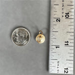 Load image into Gallery viewer, 14K Gold Sand dollar charm, solid gold, shell charm
