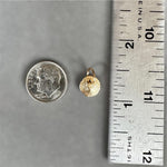 Load image into Gallery viewer, 14K Gold Sand dollar charm, solid gold, shell charm
