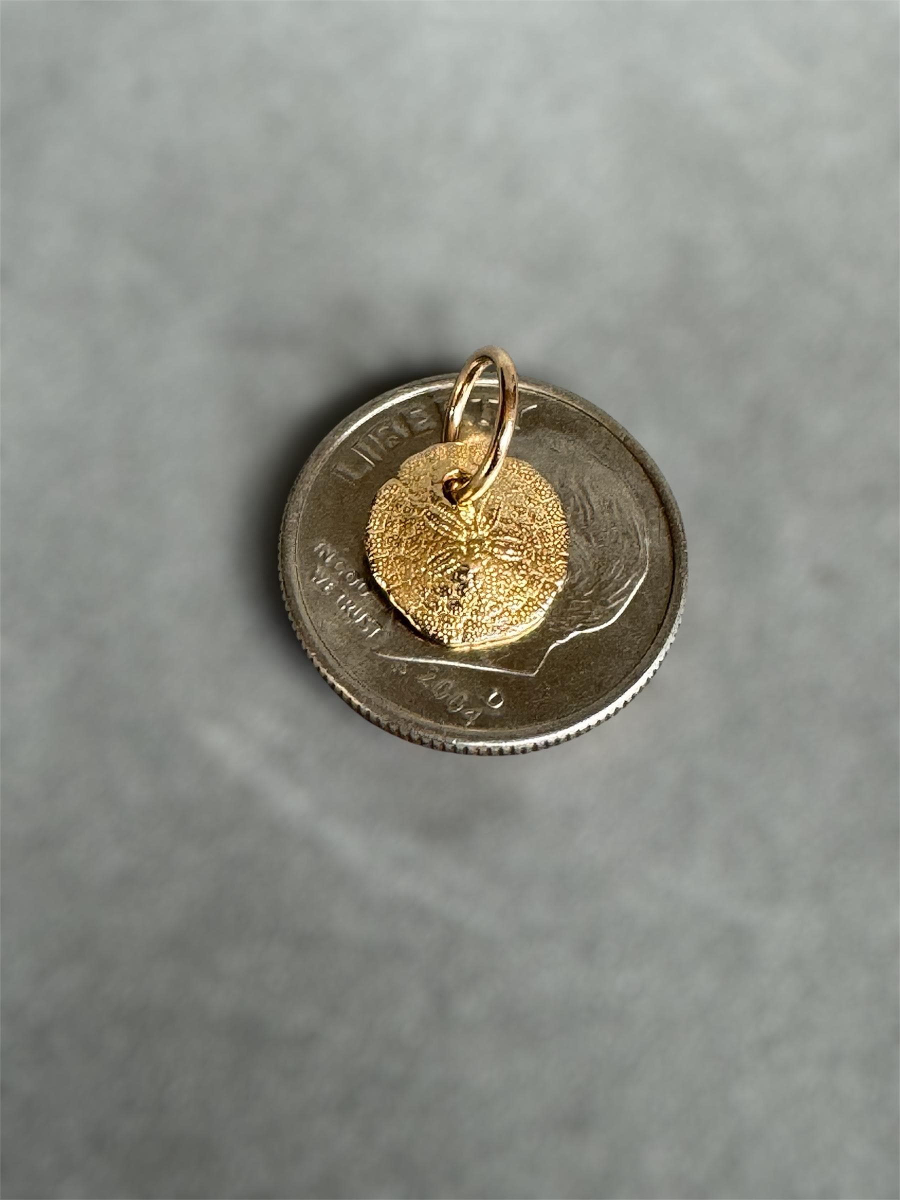 14K Gold Sand dollar charm, solid gold, shell charm