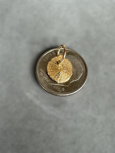 14K Gold Sand dollar charm, solid gold, shell charm