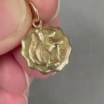 Load and play video in Gallery viewer, Chipmunk Gold Charm, 14K Solid Gold
