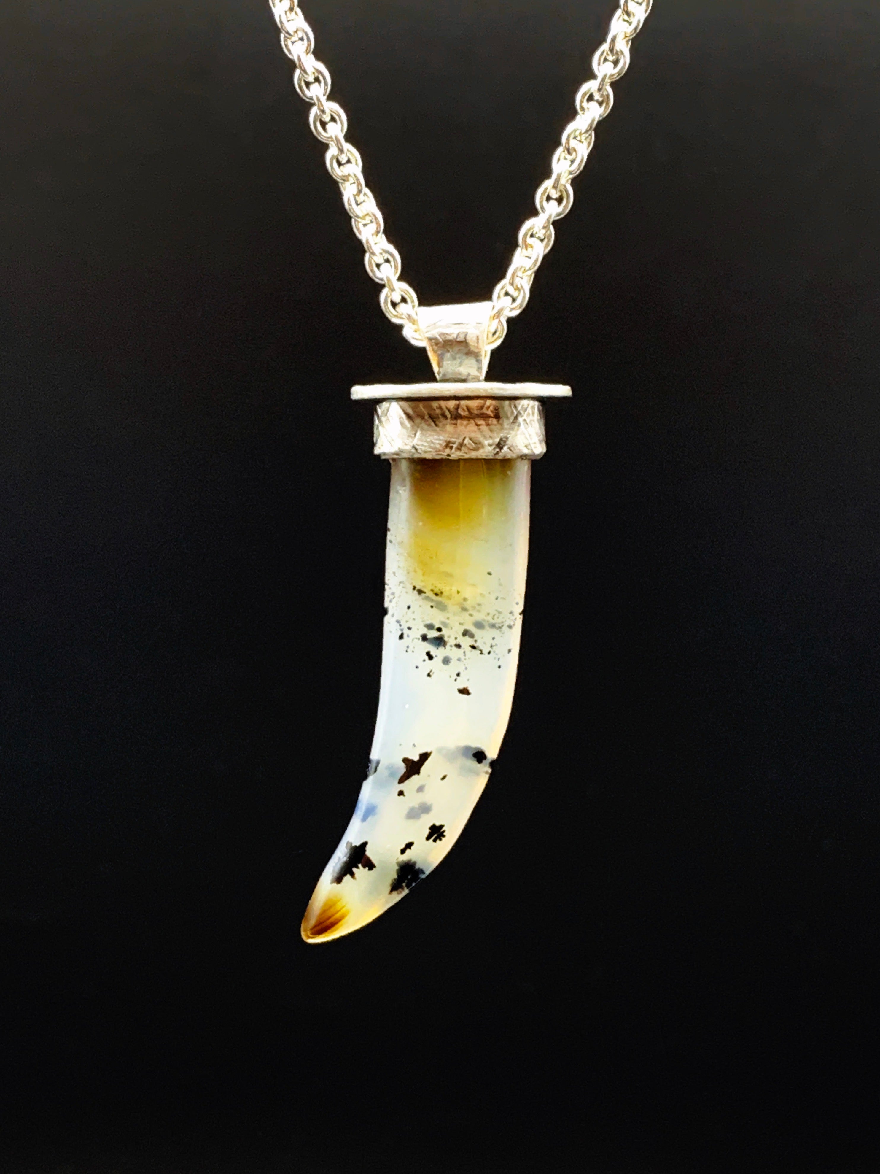 Montana Agate Claw Pendant